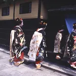 Holzbau Higashiyama